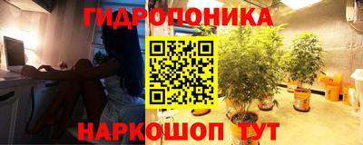 кокс Гусев