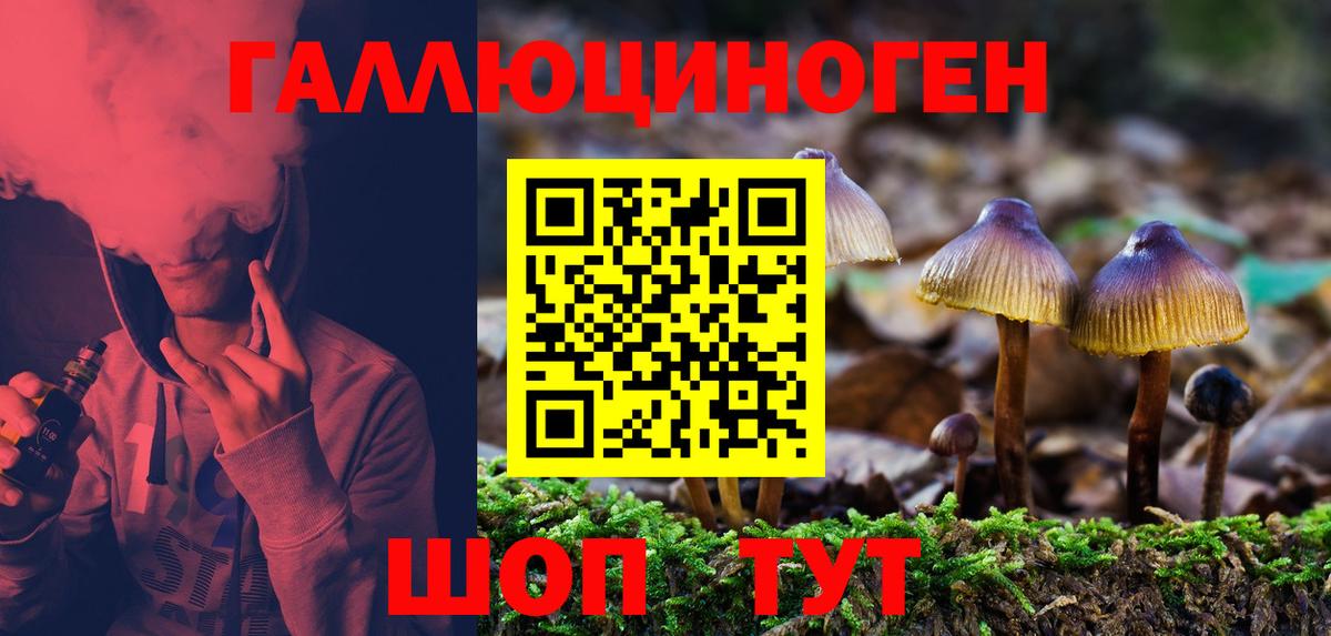 Псилоцибиновые грибы ЛСД  Вход с VPN  Новоалександровск  Галлюциногенные грибы Magic Shrooms 