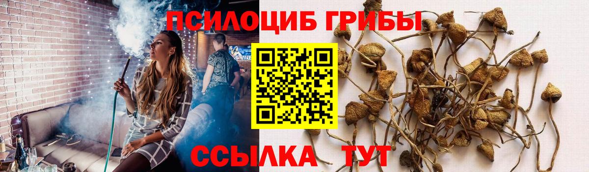 Галлюциногенные грибы прущие грибы Новоалександровск